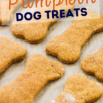 A pinterest pin for peanut butter pumpkin dog treats with an up-close photo of the treats on a baking sheet