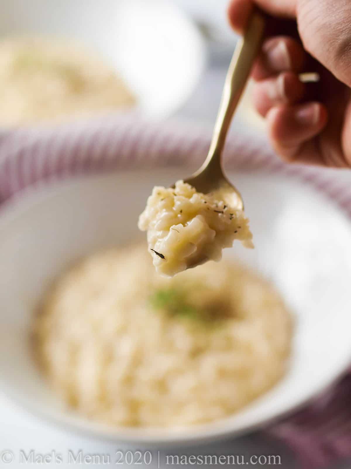 A spoonful of instant pot risotto