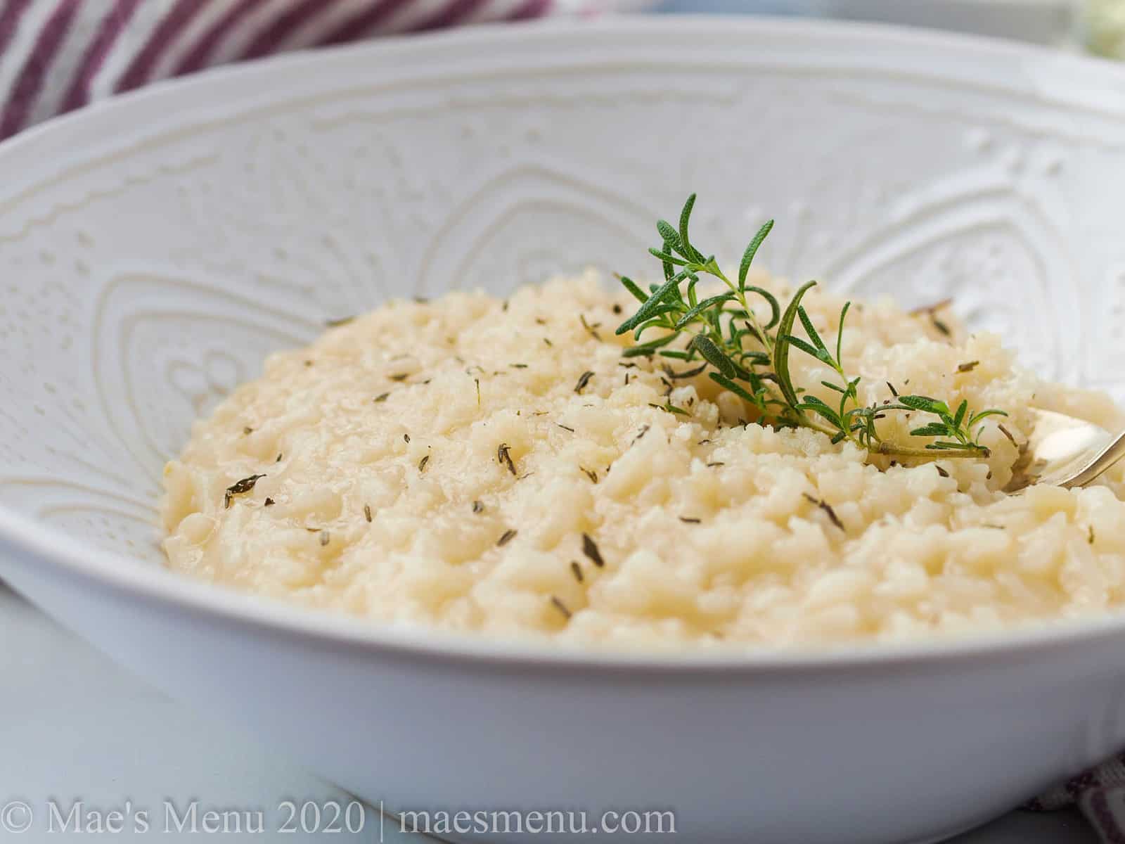 Up close shot of a white bowl of risotto.