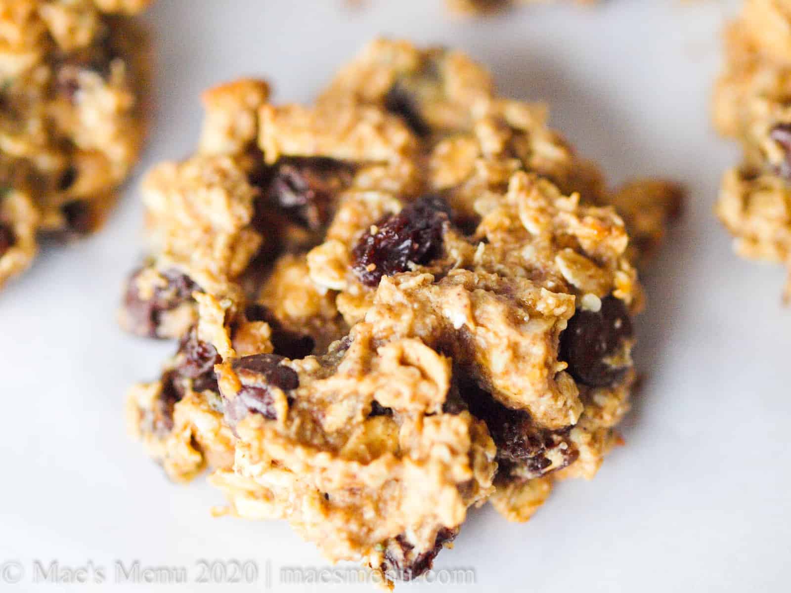 up-close picture of oat protein cookies 