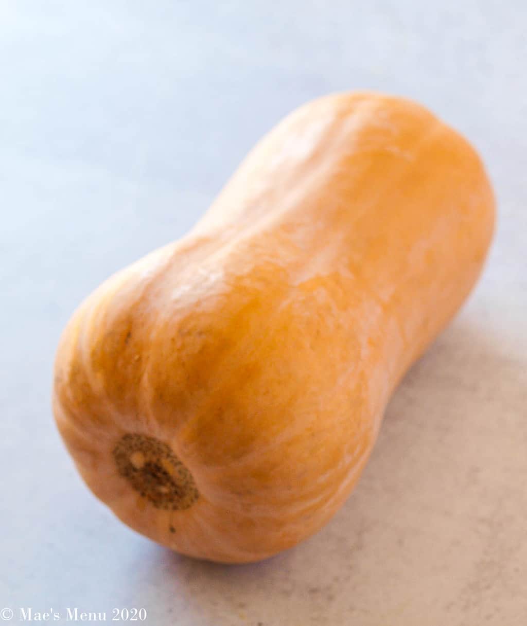 A shot of a butternut squash laying on its side on concrete