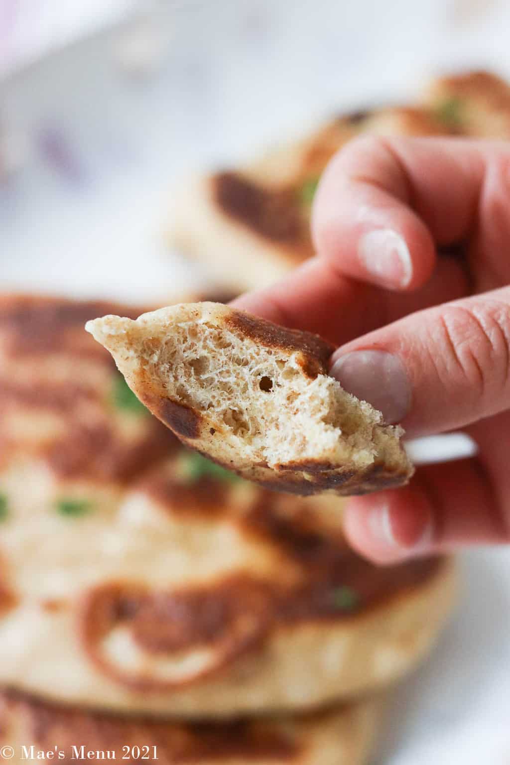 An up-close shot of a piece of whole wheat naan with a bite taken out of it. 