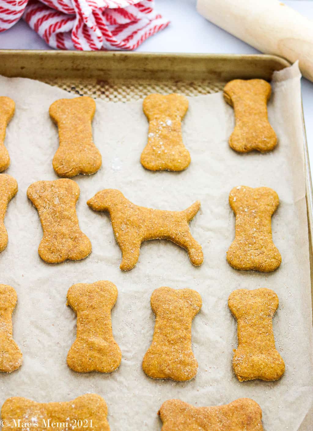 Baked dog treats on a baking pan