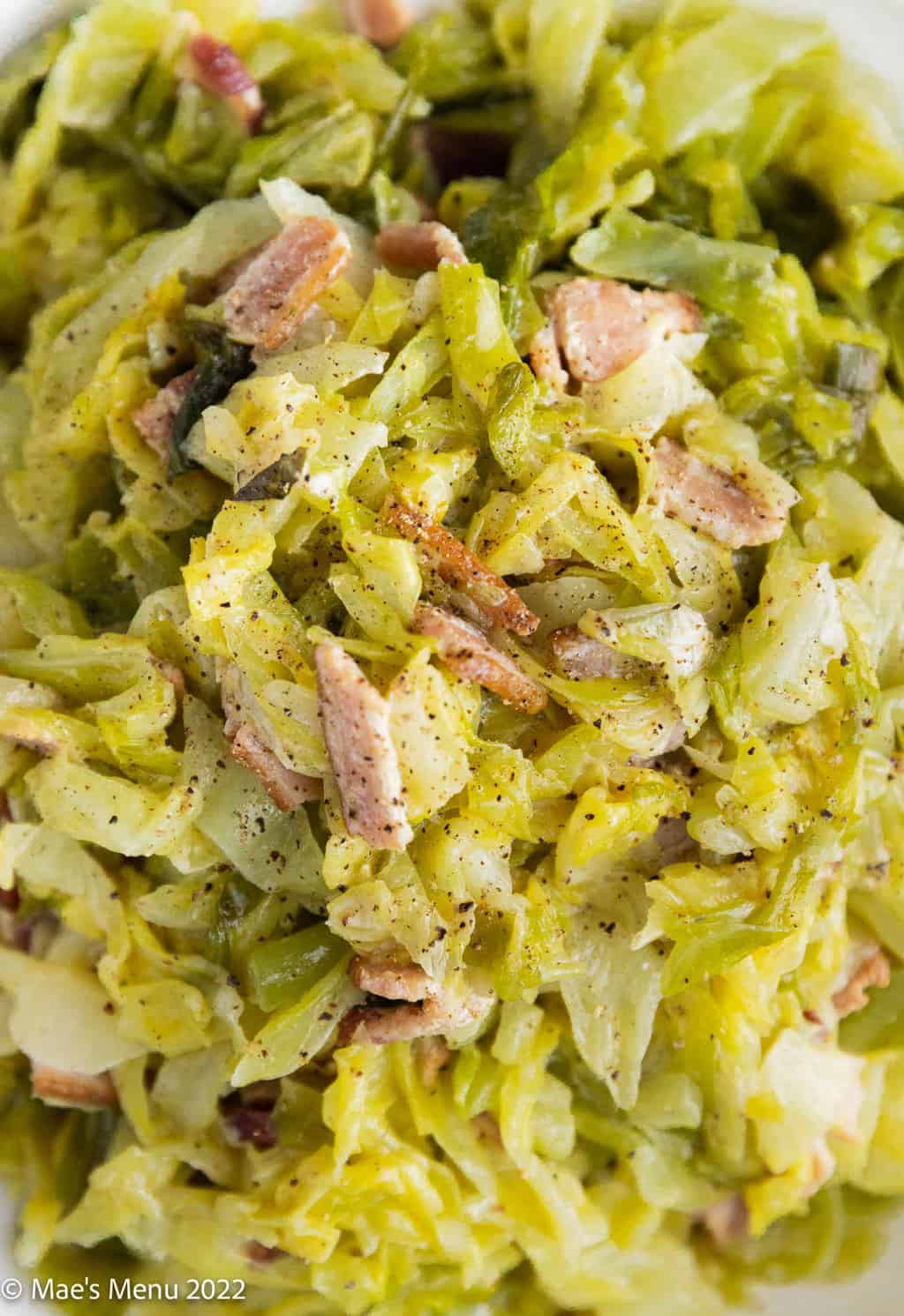 An up-close overhead shot of creamed cabbage and bacon.