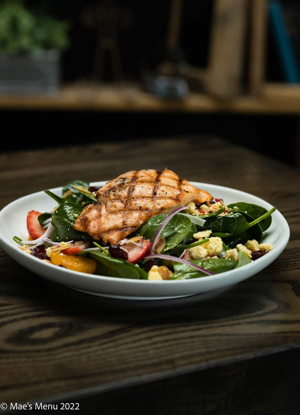 A large white plate of a salmon and spinach salad.