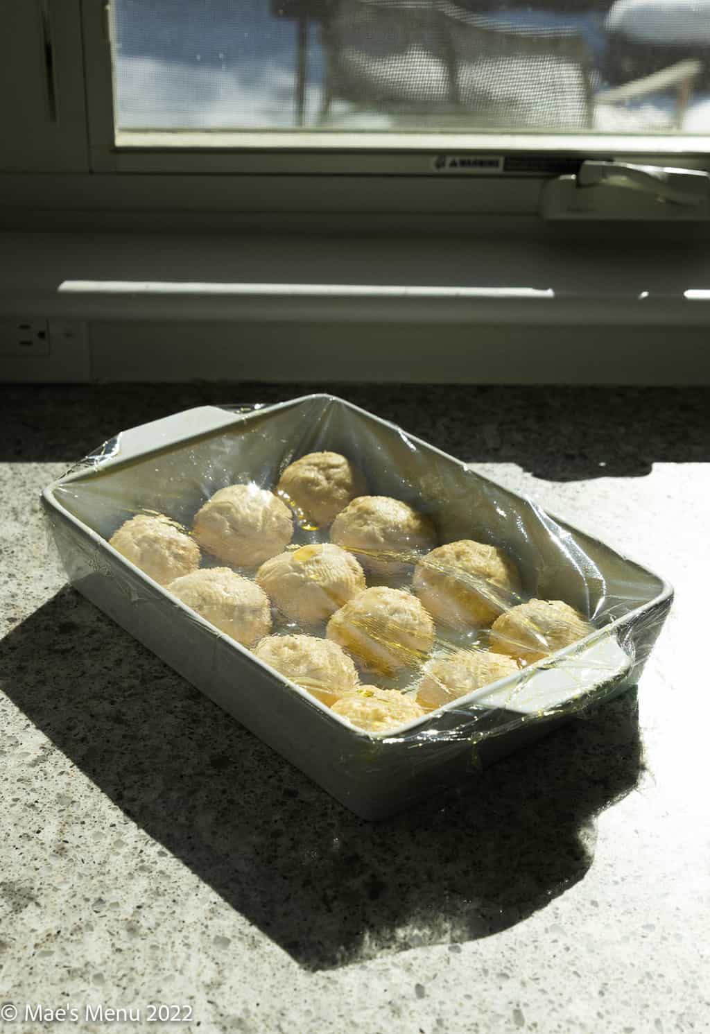 The pan of rolls proofing in the sun on the counter.