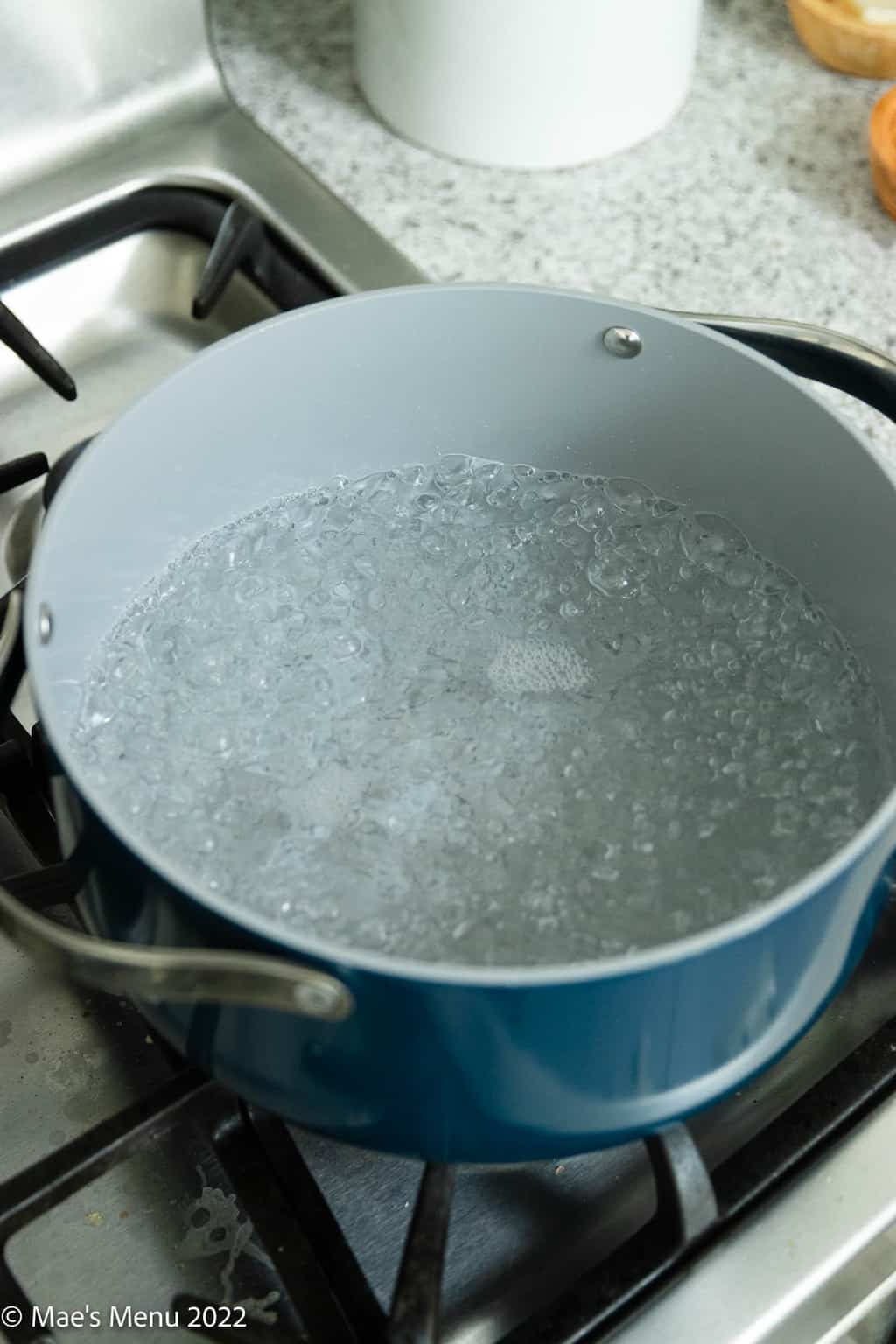 An overhead shot of a Dutch oven with boiling water.