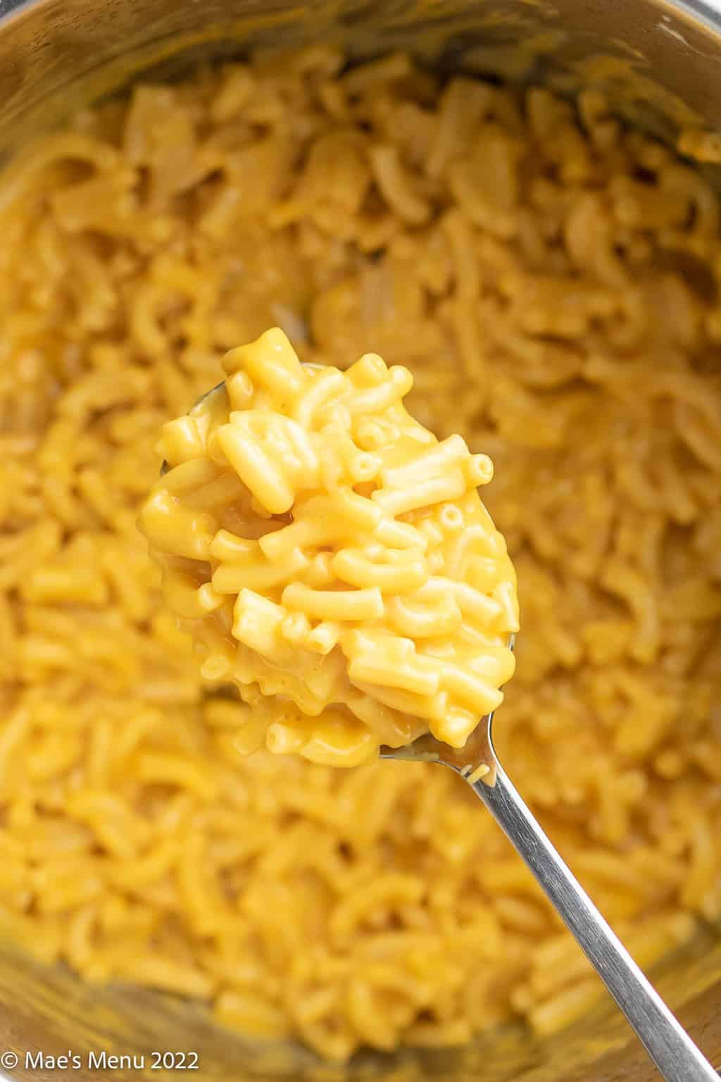 A spoonful of craft mac and cheese over the instant pot full of mac and cheese.