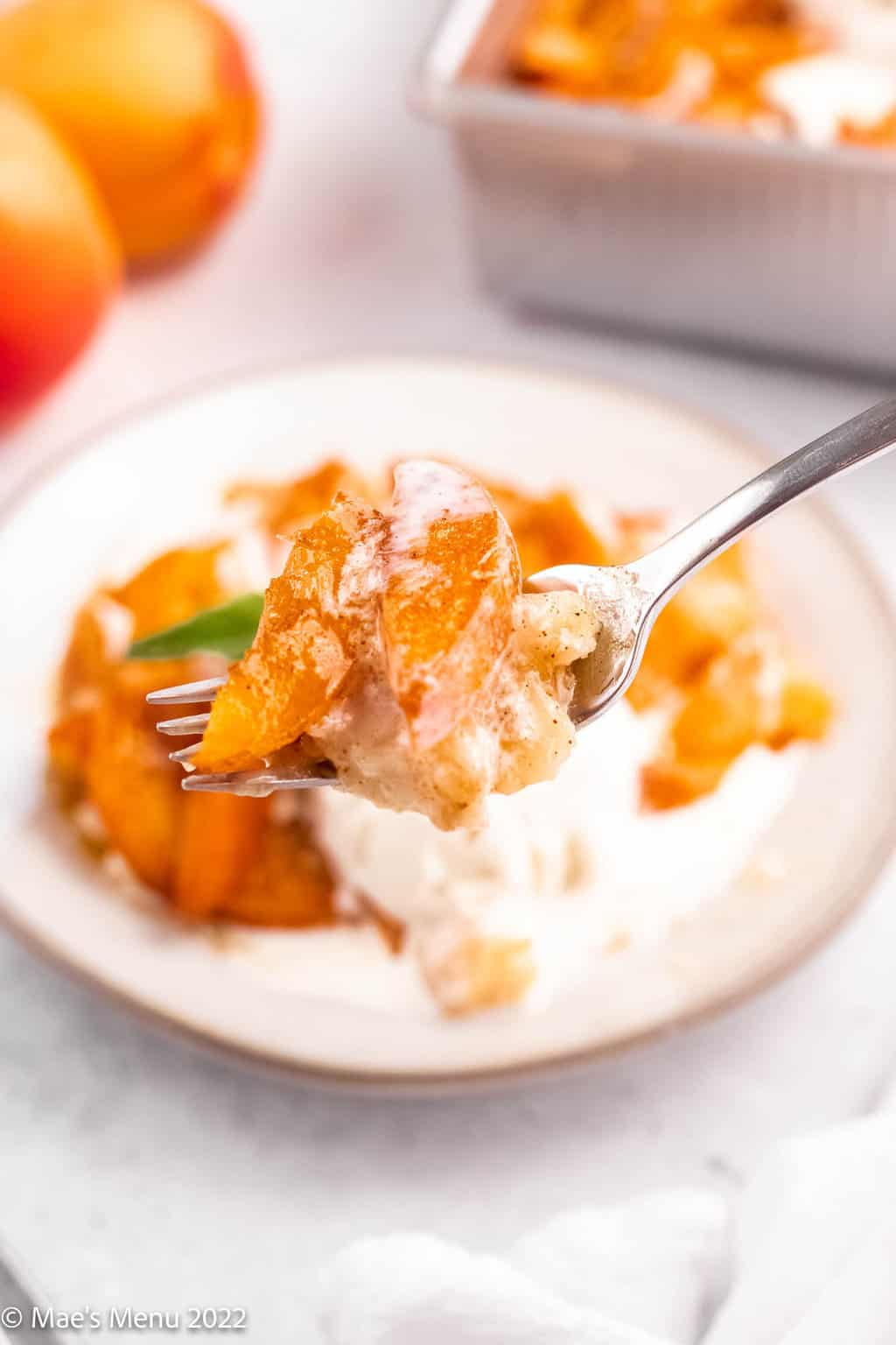 A forkful of apricot cobbler with a small plate of the cobbler in the background.