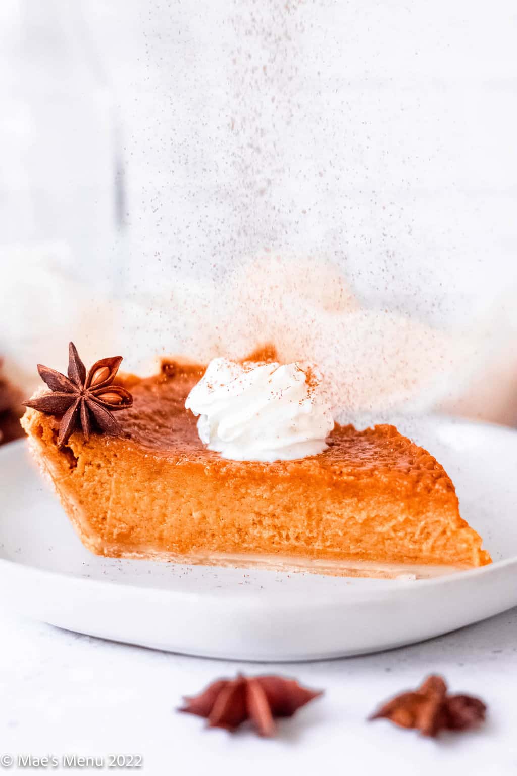 Dusting a piece of pumpkin pie with cinnamon.
