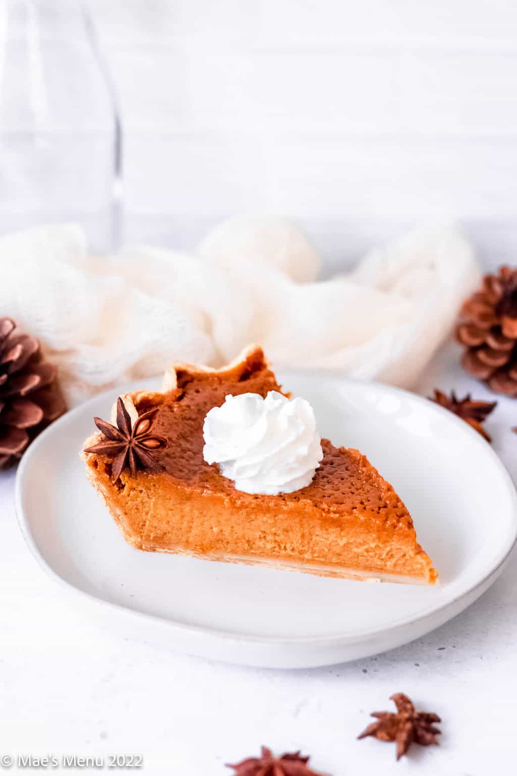 A slice of diary free pumpkin pie on a white dish.
