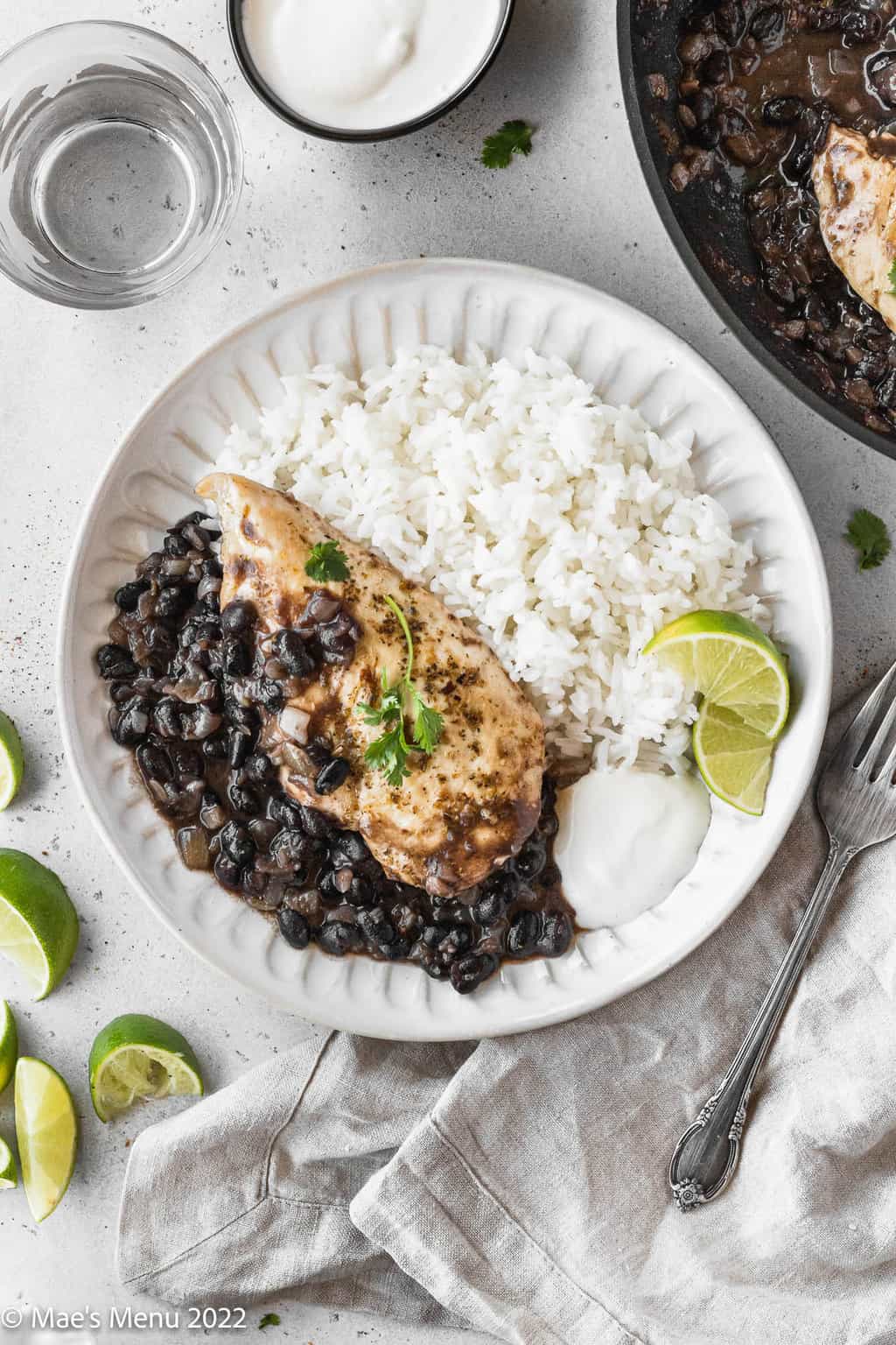A white plate with rice and chicken with black bean sauce.