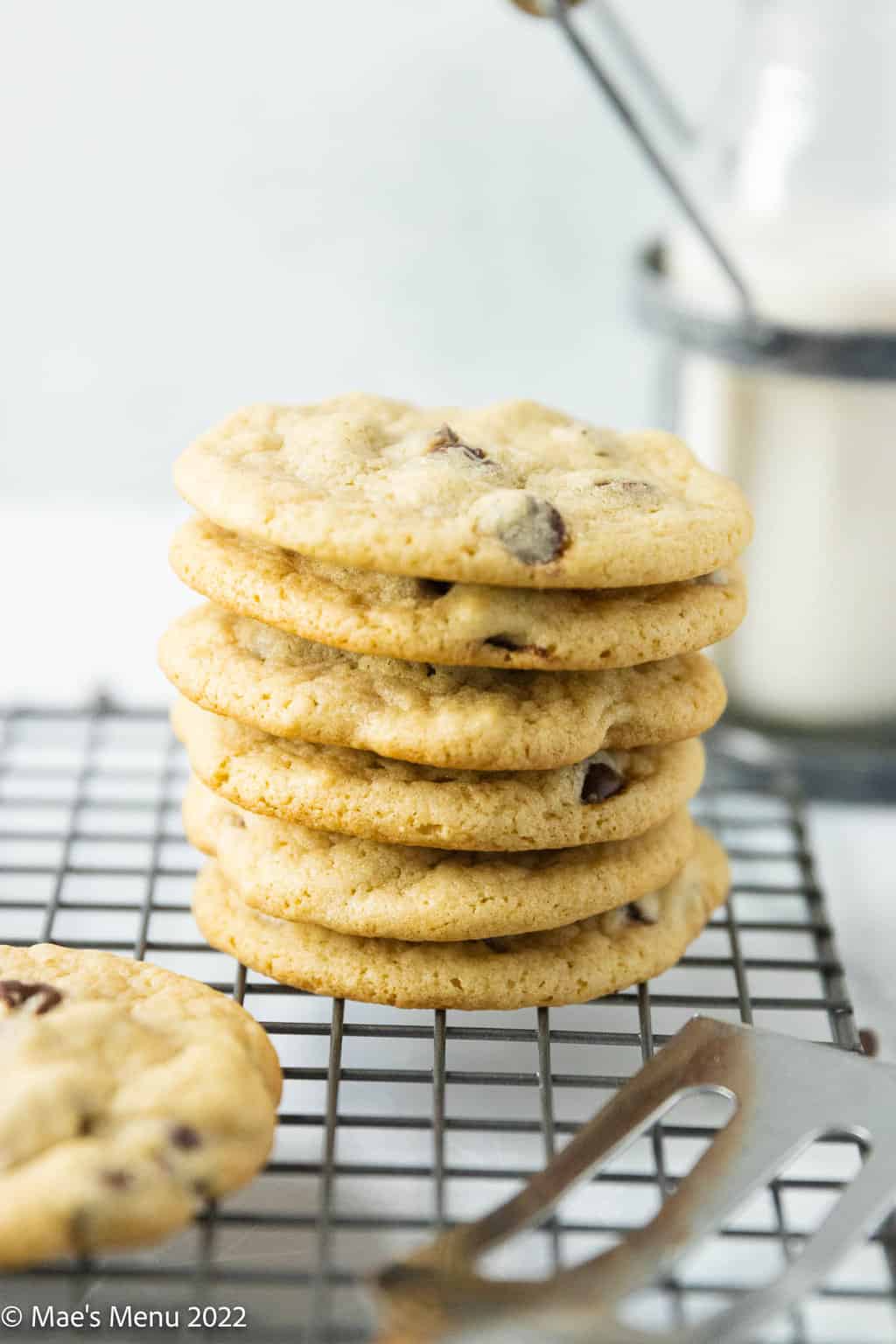 A side shot of a stack of dairy free chocolate chip cookies.