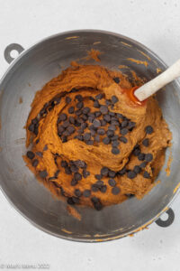 Mixing chocolate chips in with the gluten-free pumpkin muffin batter in a mixing bowl.