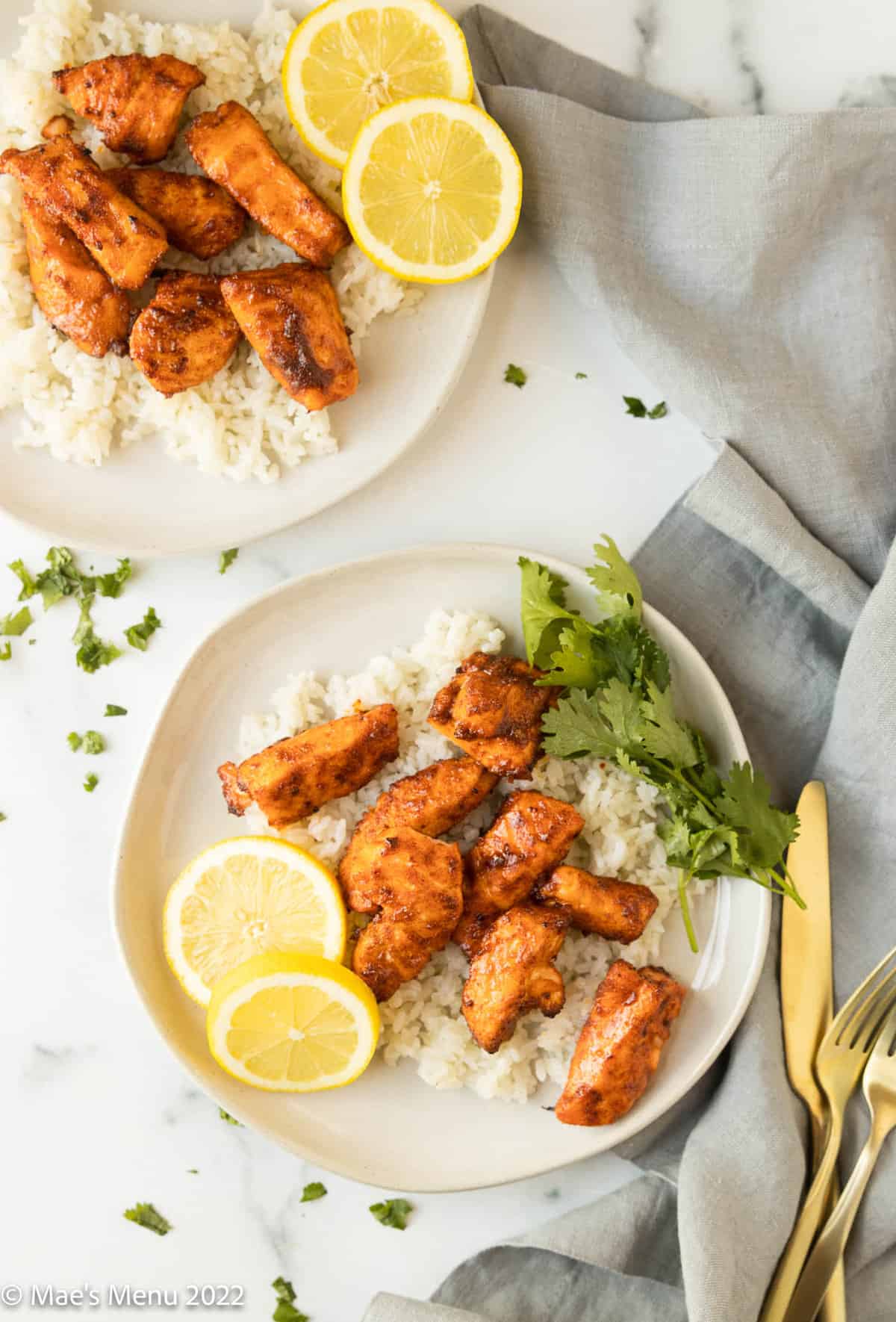 An overhead shot of two plate of air fryer salmon bites over steamed rice and herbs.