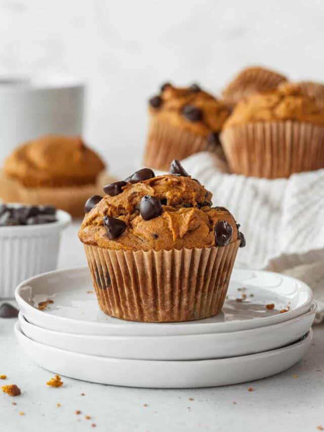 A gluten-free pumpkin muffin with chocolate chips on a white plate.