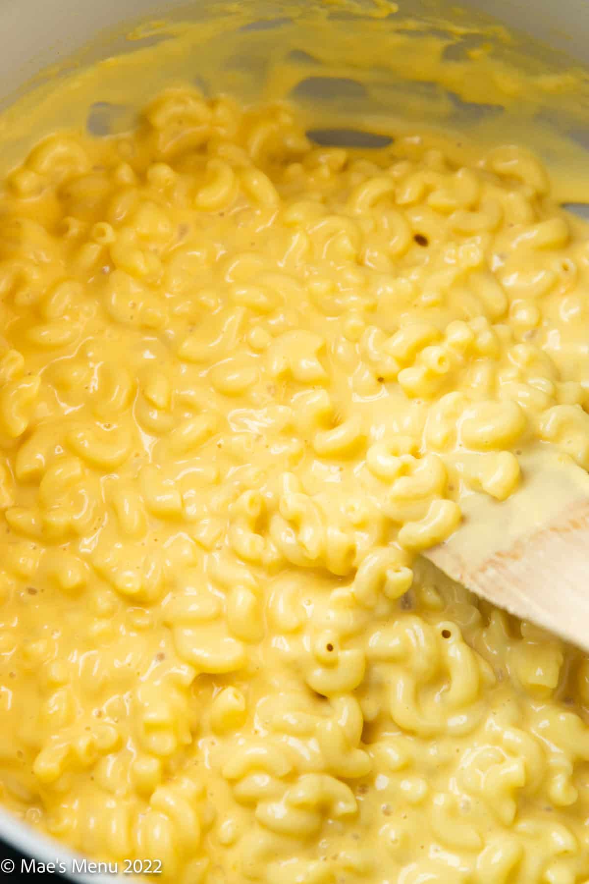 stirring cooked macaroni into lactose free cheese sauce.
