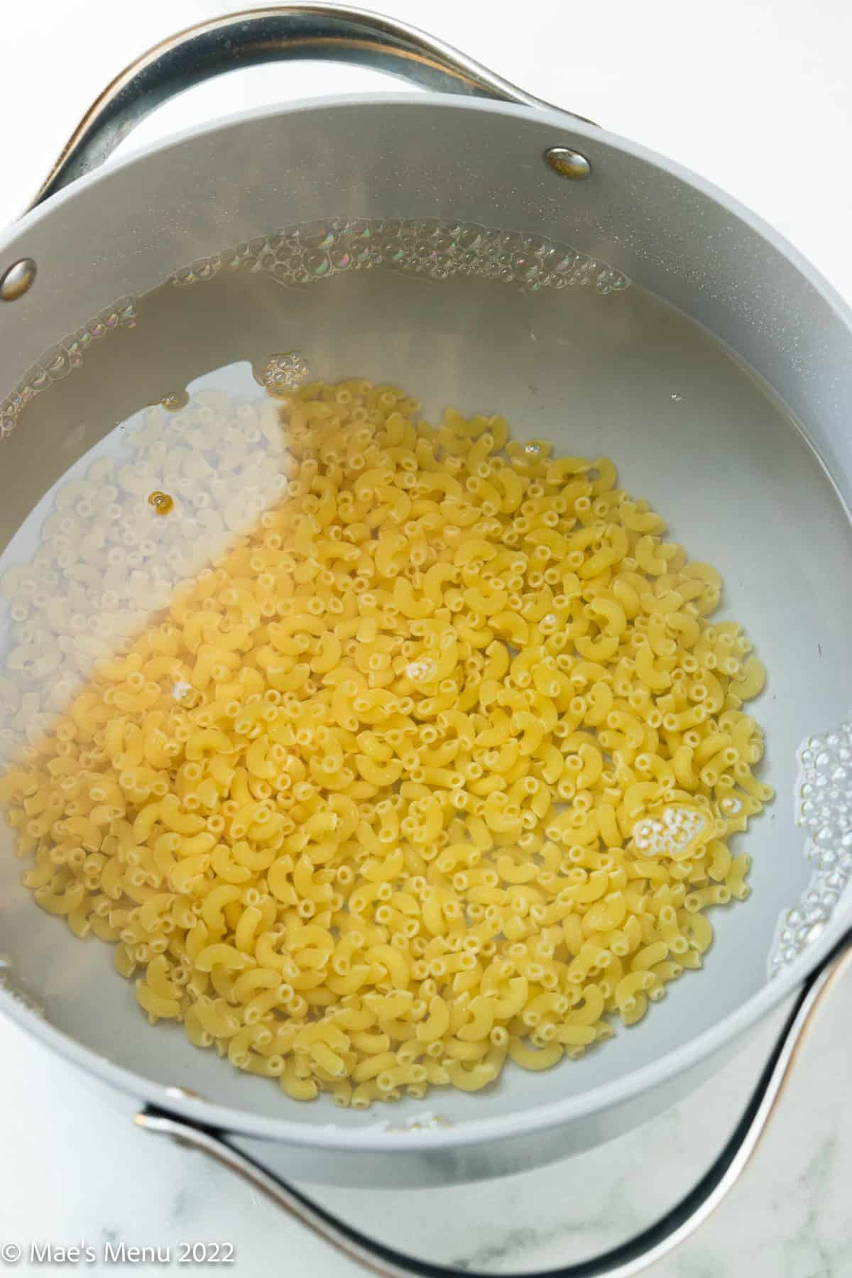 pasta in water.