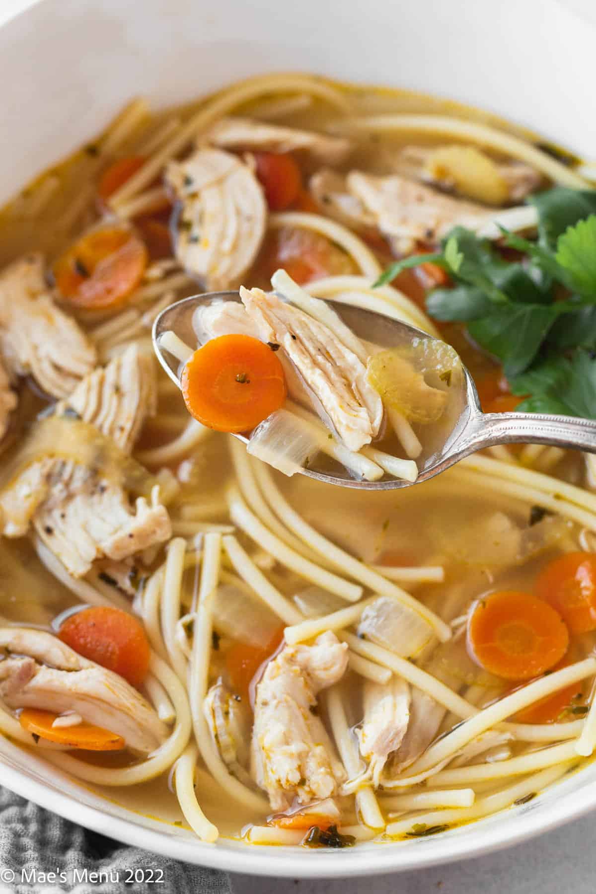 closeup shot of a spoonful of gluten free chicken noodle soup showing a coin of carrot, pieces of celery and onion, shredded chicken breast and spaghetti noodles cut into fideos.