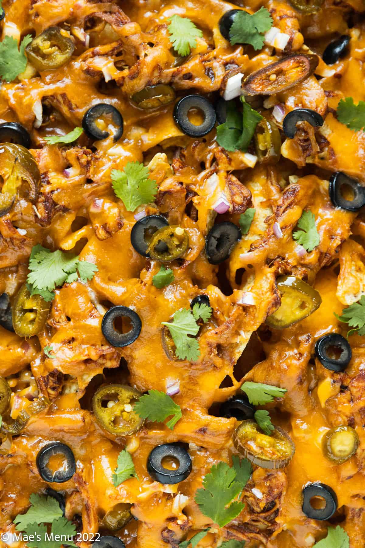An up-close overhead shot of loaded bbq chicken nachos.