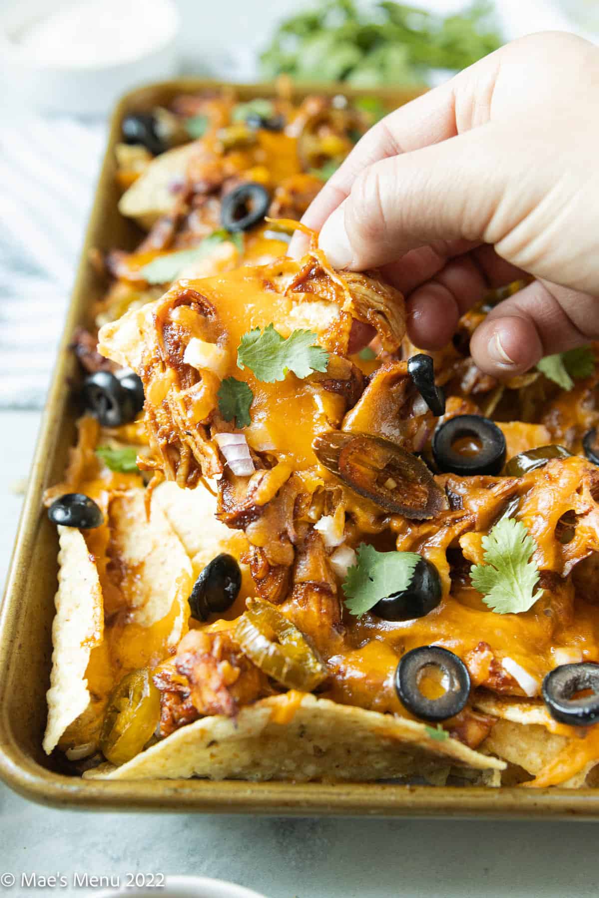 A hand grabbing some bbq chicken nachos from the tray.