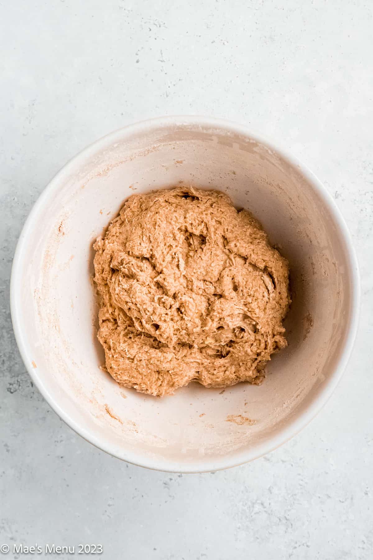 A bowl of walnut bread dough before kneading.