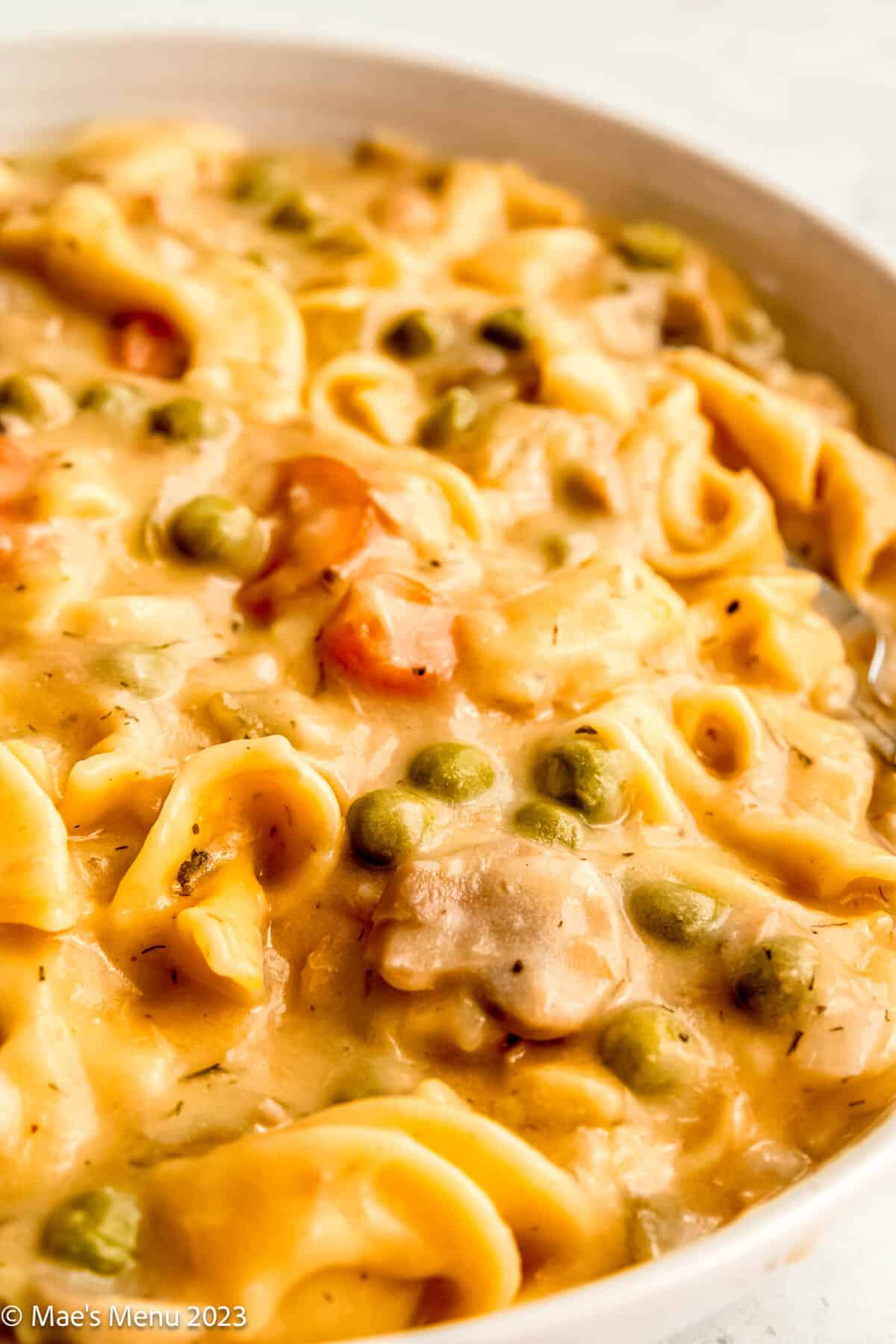 A closeup angled shot of a large white serving bowl of instant pot tuna casserole.
