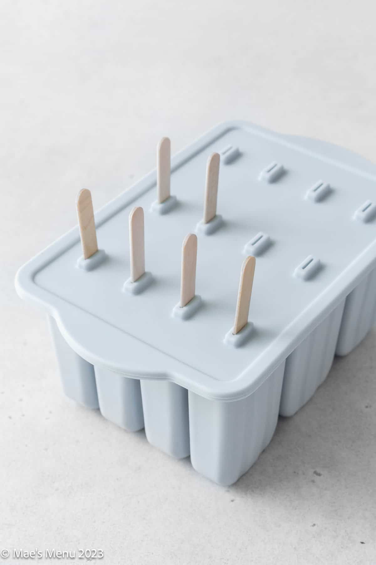 A popsicle mold with sticks in it.