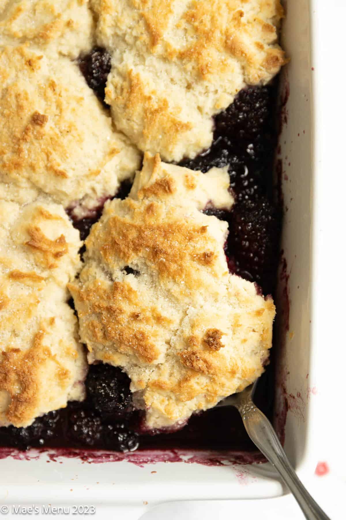 An up-close overhead shot of a pan of gluten-free blackberry cobbler with a serving spoon in it.