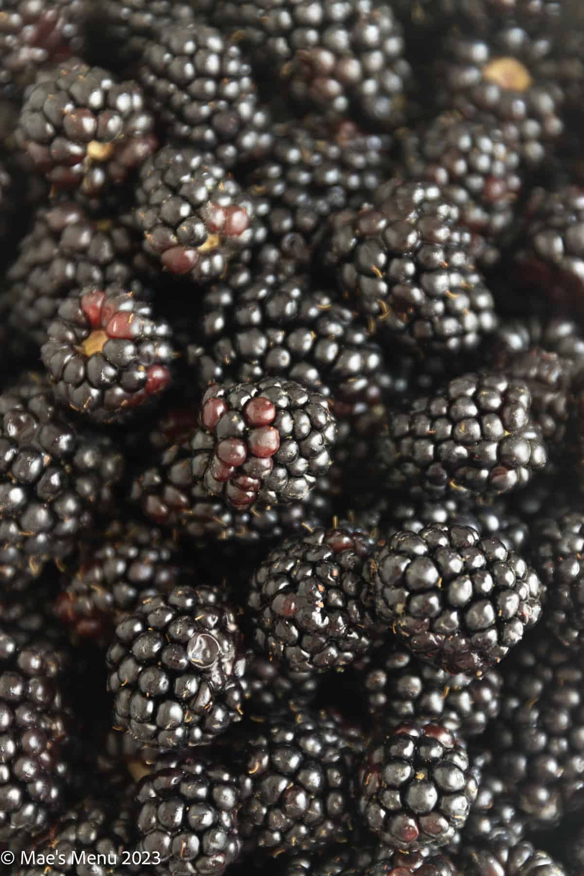 An up-close shot of blackberries.