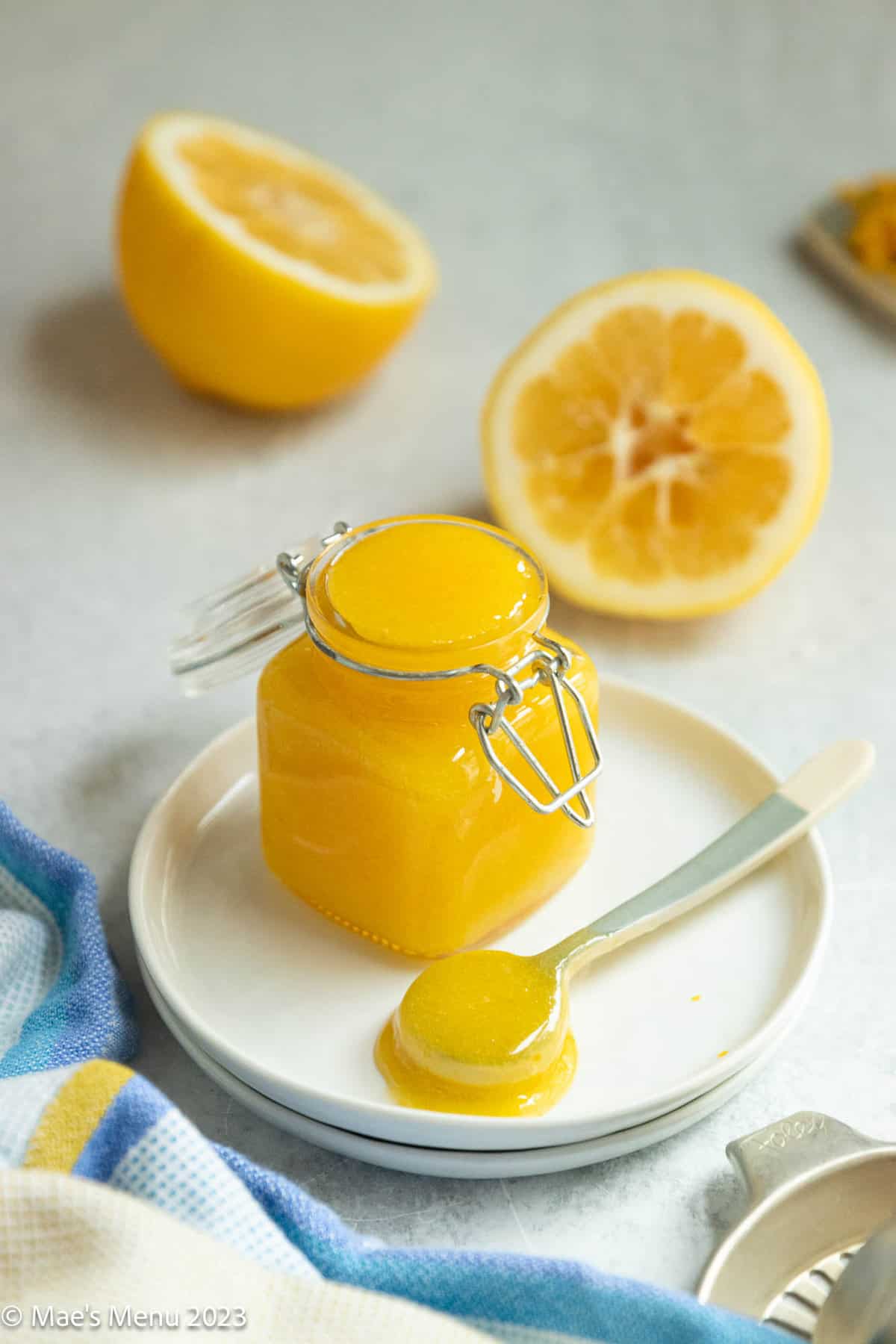 A white plate of meyer lemon curd with a small spoon. Halved lemons are in the background.