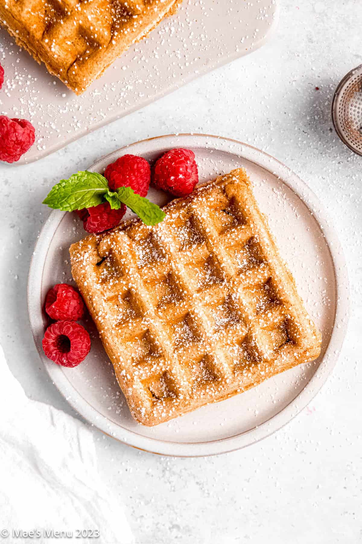 Overhead shot of a plate of a small dairy-free waffle.