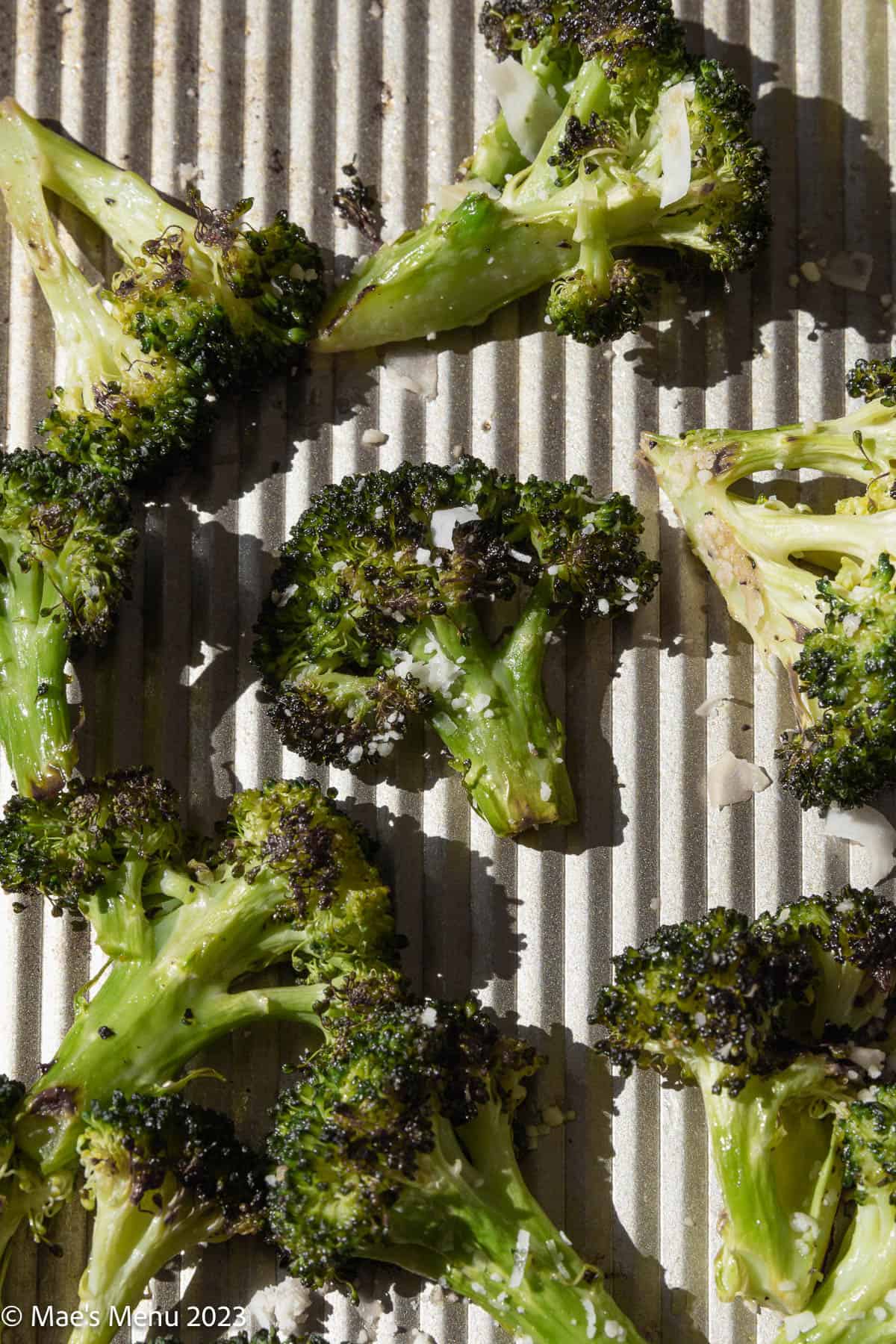 Closeup shot of Seasoned Roasted broccoli on a baking sheet.