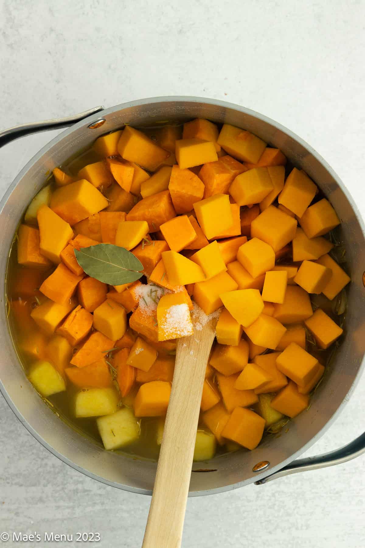 A big pit with veggies, butternut squash, and sweet potato, and a wooden spoon.