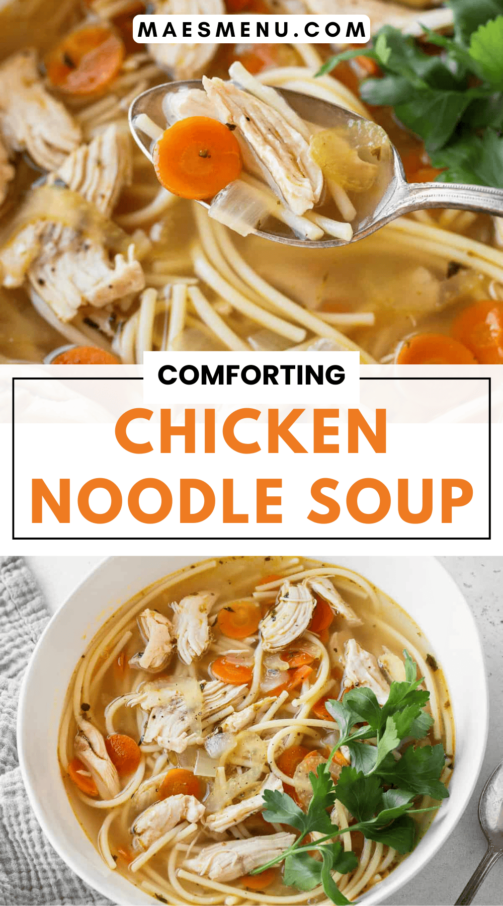 A pinterest pin of chicken noodle soup