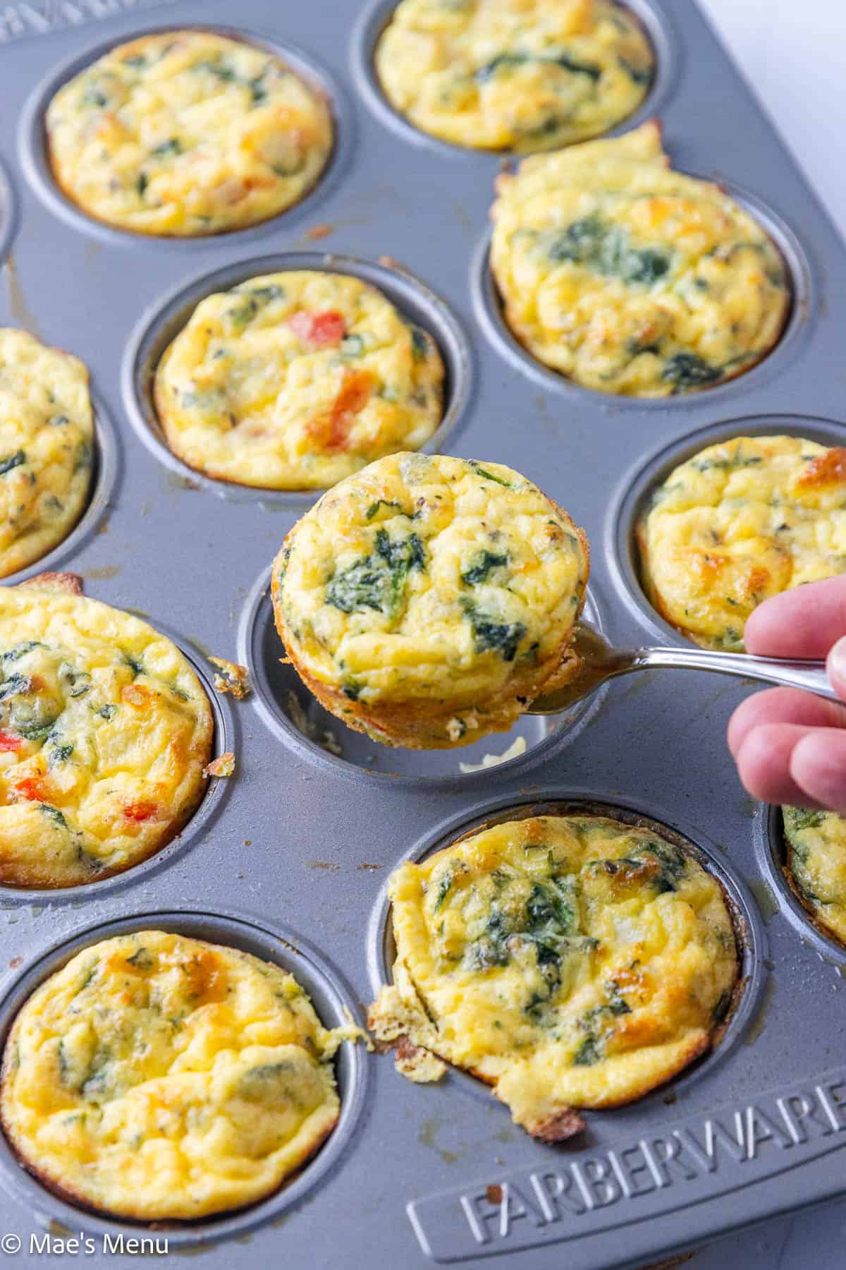 An angled side shot of a hand pulling one of the egg muffins out to serve.