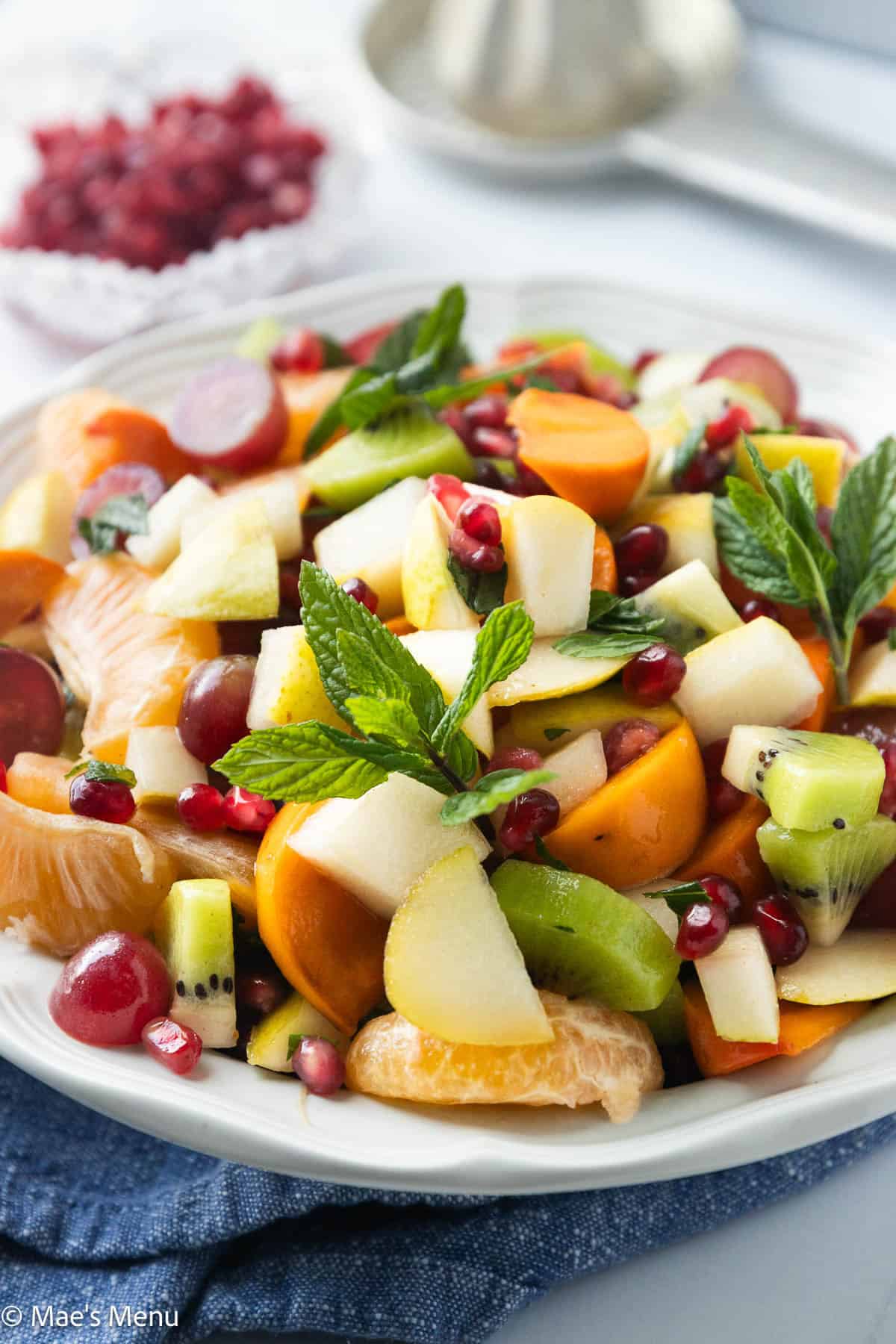 A close-up shot of a bowl of the winter fruit salad.
